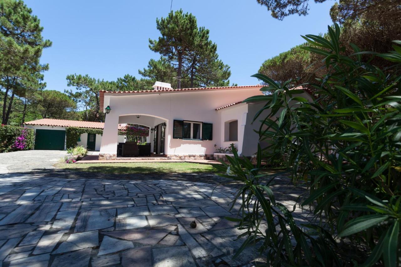 Вилла Ocean, Pines And Mountain - Renovated February 2025 - Ac Коларес Экстерьер фото