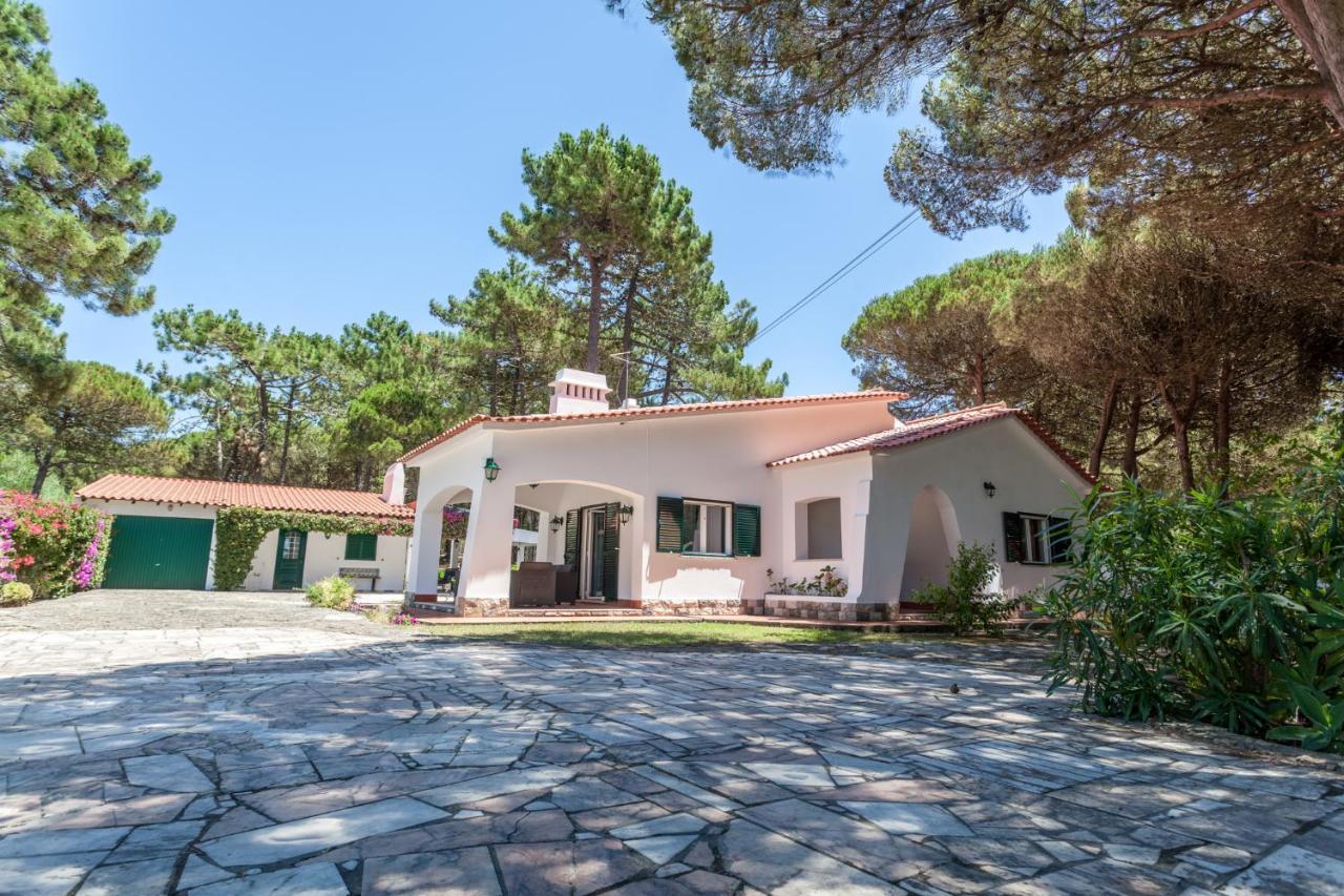 Вилла Ocean, Pines And Mountain - Renovated February 2025 - Ac Коларес Экстерьер фото
