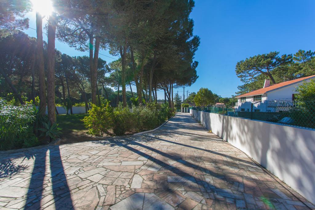 Вилла Ocean, Pines And Mountain - Renovated February 2025 - Ac Коларес Экстерьер фото